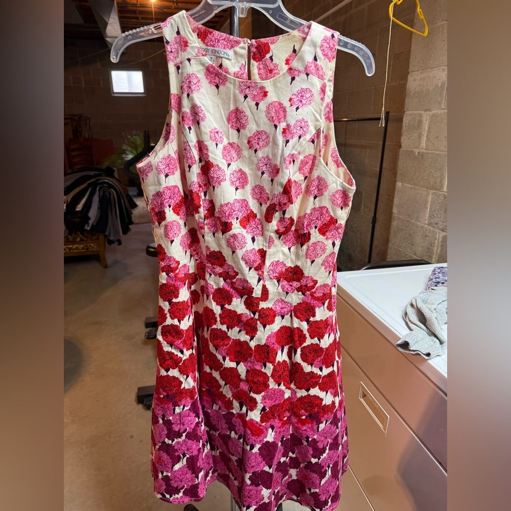 Maggy London Pink and Red Floral Dress